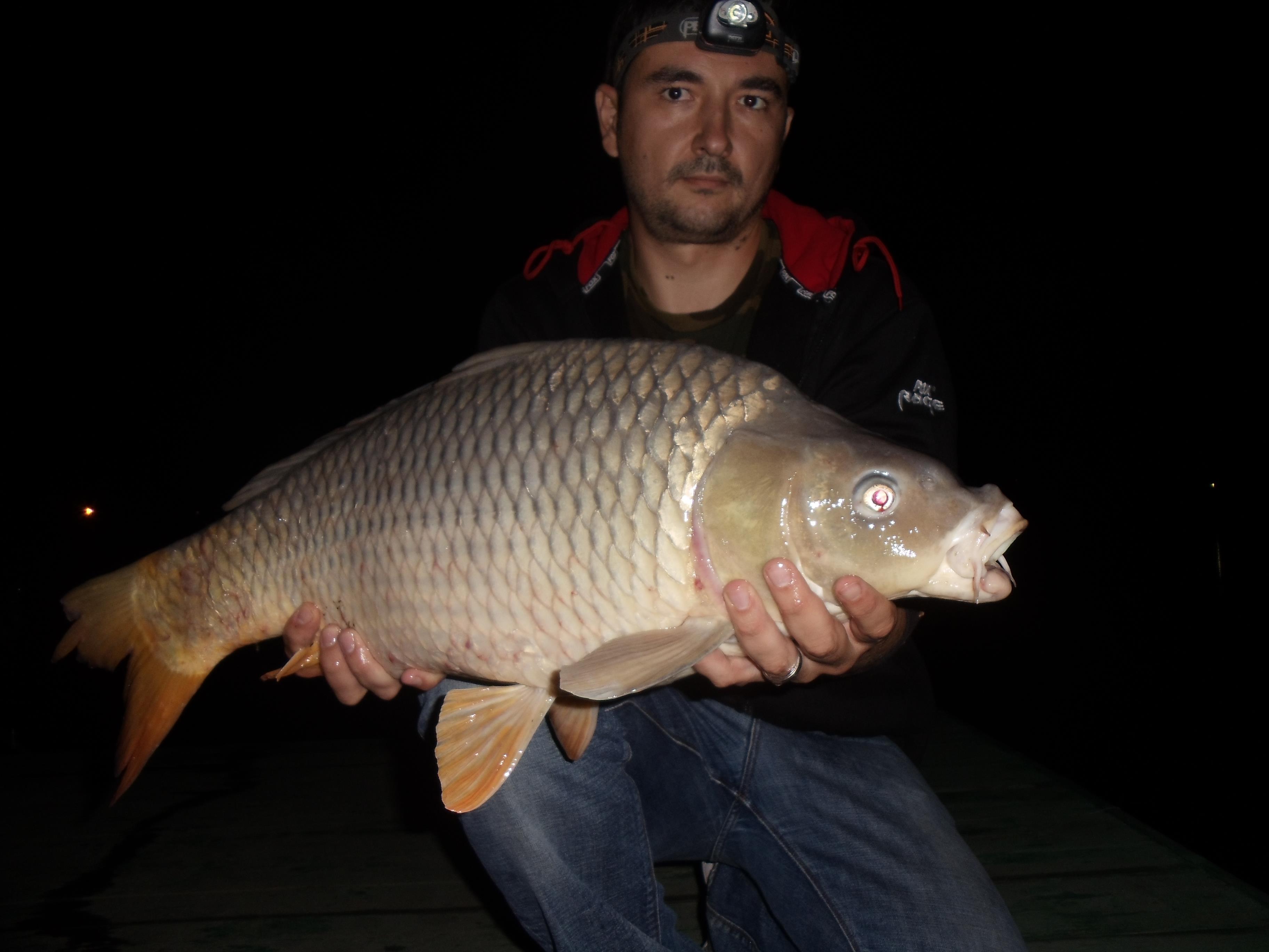 Moara Vlasiei 2012 - MV4.jpg